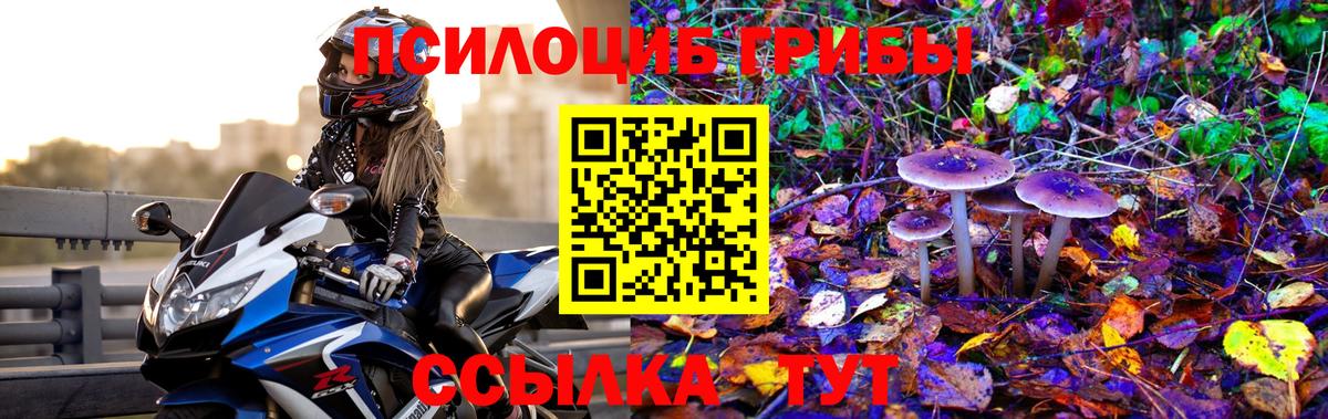Галлюциногенные грибы GOLDEN TEACHER Тосно
