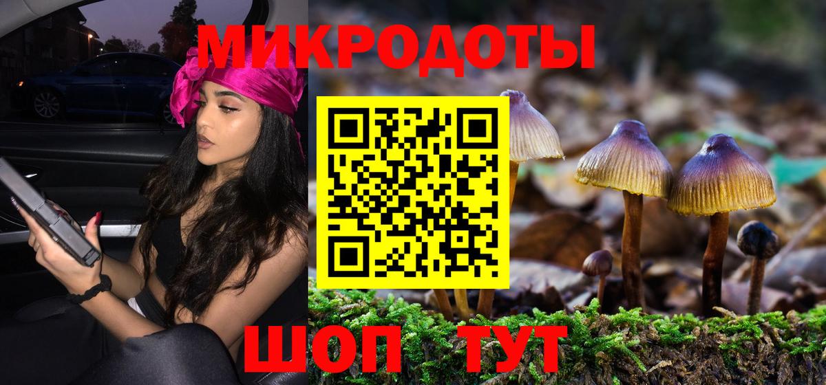 Тосно  Галлюциногенные грибы прущие грибы  Вход с VPN 